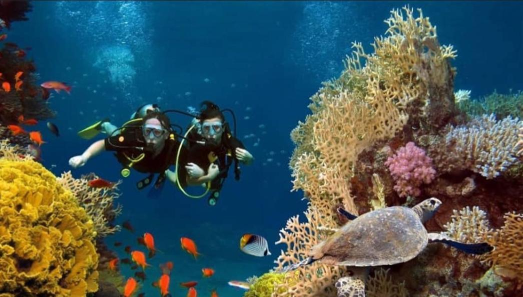 Elysian Hideaway Otel Maafushi Dış mekan fotoğraf